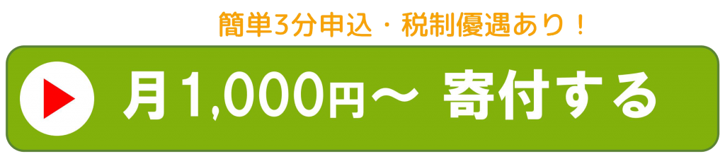 ポケットサポートの活動を寄付で応援する